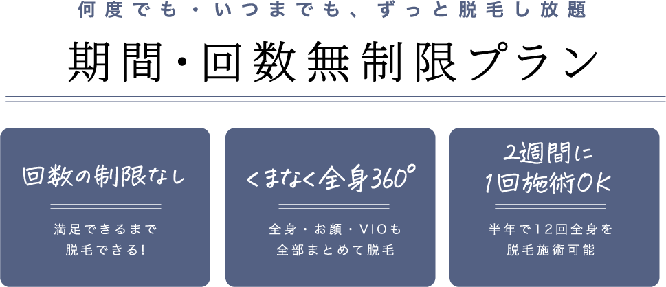 期間・回数無制限プラン