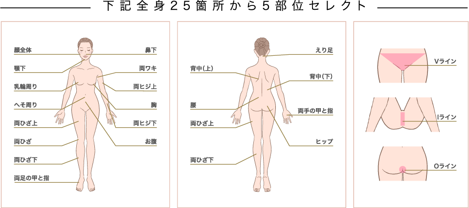 下記全身25箇所から5部位セレクト