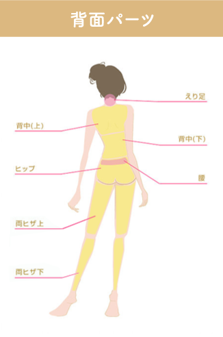 脱毛できる背面パーツ