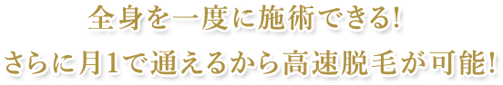 全身を一度に施術できる! さらに月1で通えるから高速脱毛が可能!