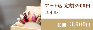 アート込 定額3900円ネイル